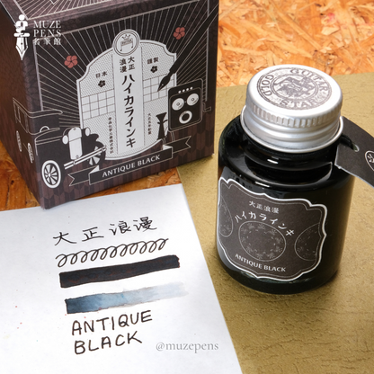 Teranishi Chemical Industry Guitar Taishou Roman Ink - Antique Black